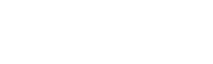 hyundai_logo_white
